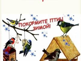 птицы