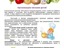 питание